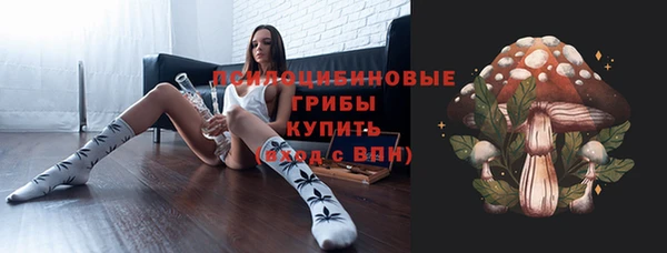 стаф Абинск