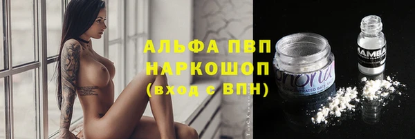 дмт Абаза