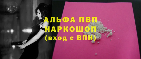 стаф Абинск