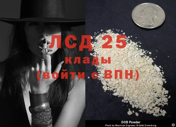 стаф Абинск