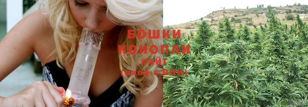 дмт Абаза
